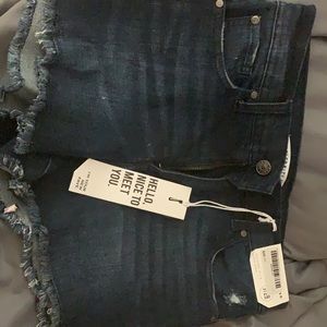 Women’s Celebrity Pink Shorts